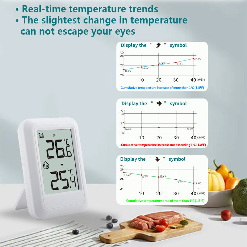 New Wireless Indoor/Outdoor Thermometer & Hygrometer – High-Precision 1-to-1 Sensor System with Data Recording